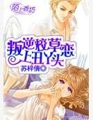 叛逆校草戀上醜丫頭